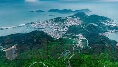 世界杯 历届8强-世界杯历届8强，足球盛宴中的精英对决